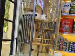 -悠尼宠物·独立低压伊珊娜洗护·美容·寄养(兰谷路店)