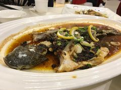 -新海利海鲜城·41年珠海老字号(夏湾店)