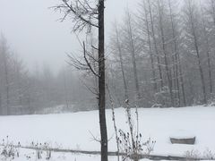-鳌山滑雪度假区