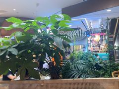 -云海肴·汽锅鸡·云南菜(广安门天虹店)