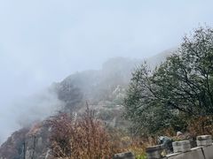 -白草畔自然风景区