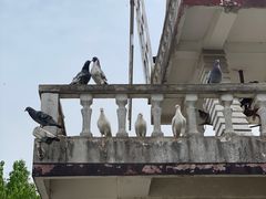 -玄武湖景区-情侣园游乐场