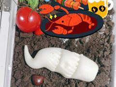 -3号仓库·创意中国菜(嘉兴龙鼎万达店)