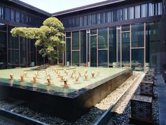 -上海崇明金茂凯悦酒店