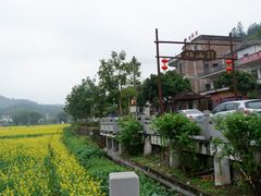 -红山村