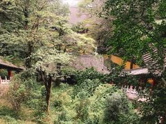 -九华山风景区月身宝殿