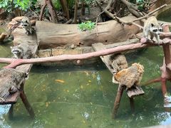 -长鹿旅游休博园