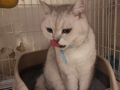-小时光咖啡馆(北锣鼓巷店)