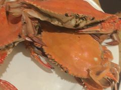 -常州富力喜来登酒店 Feast盛宴标帜西餐厅(新北万达广场店)