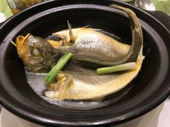 -悦景酒家(罗湖店)