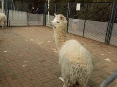 -长白岛森林公园