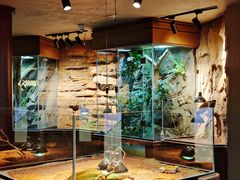 -帕帕拉兹宠物(亚洲旗舰店)