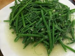 清炒丝瓜秧-力力豆花庄(广渠门店)