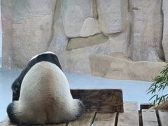 -无锡动物园·太湖欢乐园