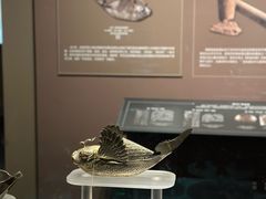 -广西壮族自治区博物馆