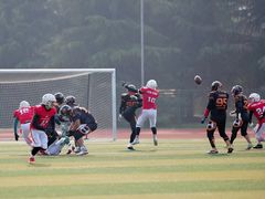 -嘉兴大学（梁林校区）体育馆