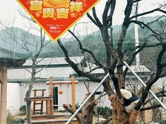 -无锡动物园·太湖欢乐园