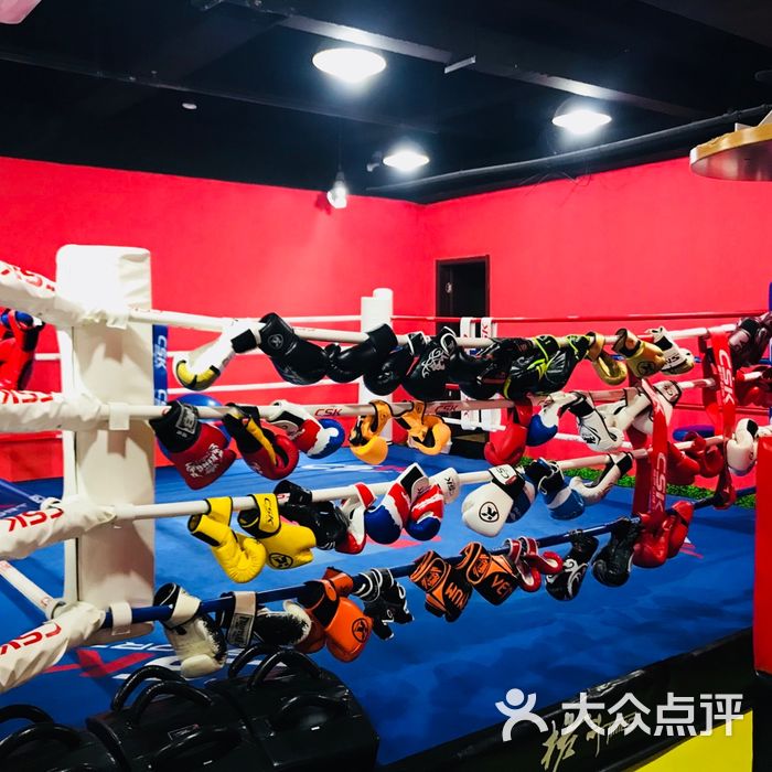 格斗times拳击泰拳柔术mma拳馆