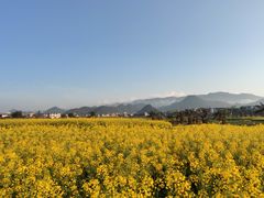 -万峰林风景区