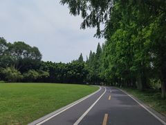 -采石矶景区