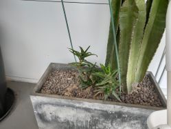 -AMOR慕尔造型