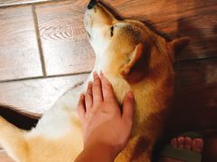 -About Bistro關於·泰式家庭料理