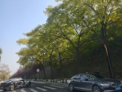 -蝦塘·中国餐馆(城墙南马道巷店)