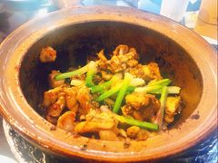 -红星光发煲仔饭(文海店)