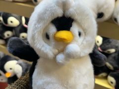 -海合安青岛极地海洋公园