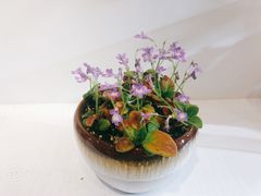 -北京植物园-展览温室