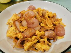 -食家鸽园