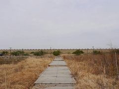 android_upload_pic-漩门湾国家湿地公园