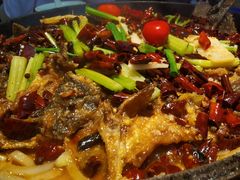 -老板恋上鱼(恒隆广场店)