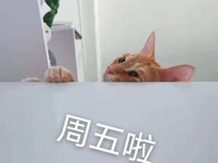 -木棉·醉心粤味(COCO Park店)