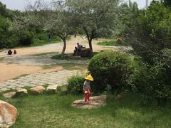 -长春公园(普阳街道)