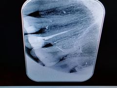 -北京中医药大学东方医院(方庄院区)