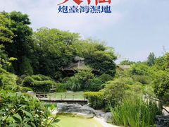 -上海吴淞炮台湾国家湿地公园