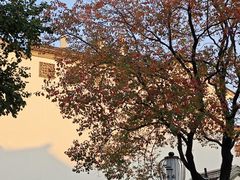 -万达影城(银兴菲林店)