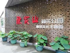 -陈家山荷花公园