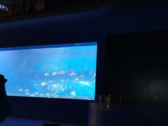 -重庆欢乐海底世界