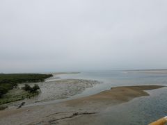 -北海金海湾红树林生态旅游区