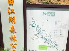 -广州白江湖森林公园