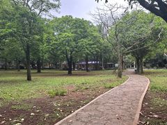 -海口火山口国家地质公园