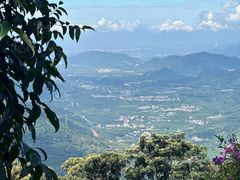 -广州市石门国家森林公园