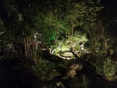 -绿光森林餐厅