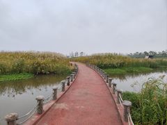 -春花秋色城市公园