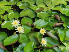 -杭州张苍水先生祠