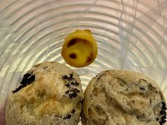 -紫金港餐饮中心-风味餐厅(浙江大学紫金港校区店)