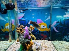 -太平洋海底世界