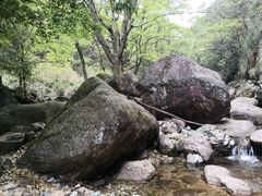 -祁门牯牛降观音堂风景区